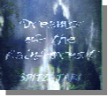 B. Brad Spitz -  Dreams in the Rainforest